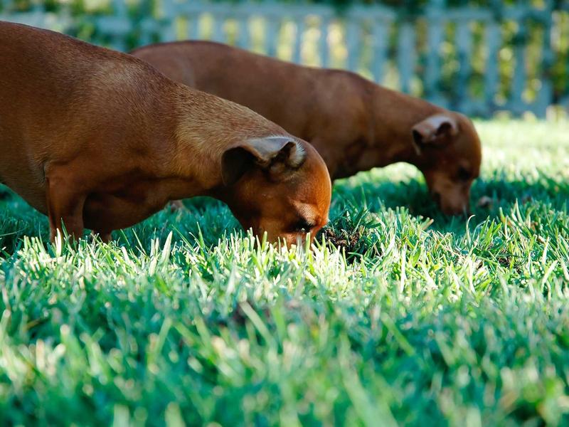 sudoku leaderboard screenshot 5